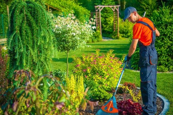 Entretien de jardin à Machecoul-Saint-Même